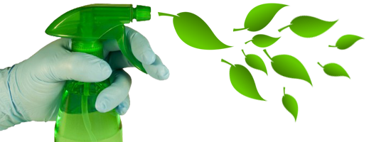 ניקיון יסודי לאחר שיפוץ גדול 